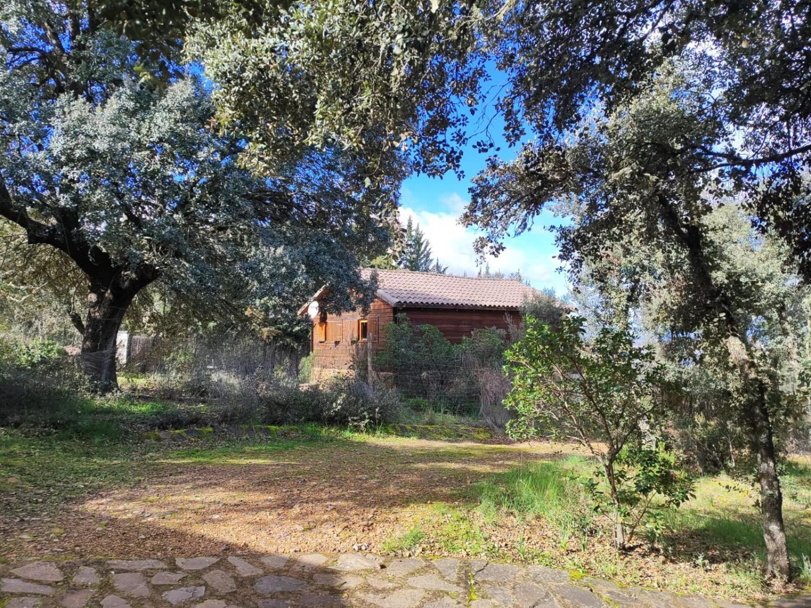 Nuevo Ecolodge Cabaneros Retuerta de Bullaque Exterior foto